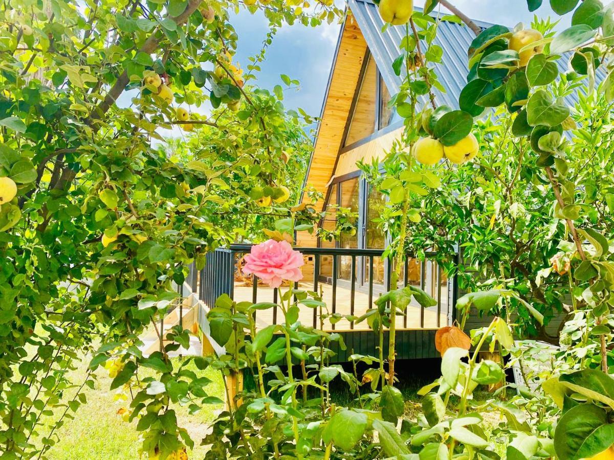 Garden Bungalow Анталья Экстерьер фото